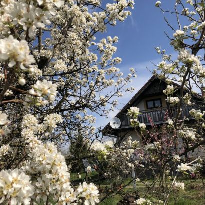 004 dios tanya kulso kepek