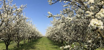 004 dios tanya kulso kepek